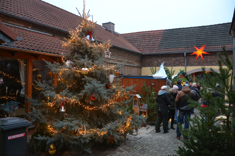 Weihnachtsmarkt2016 0021